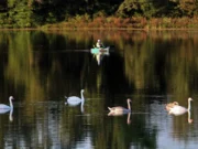 Власти Коннектикута планируют предоставить в аренду водные велосипеды в пяти государственных парках