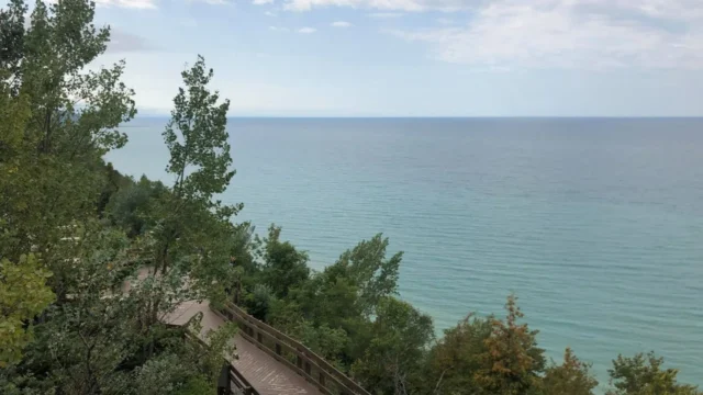 371005c741777739d0c4fd878dab5603