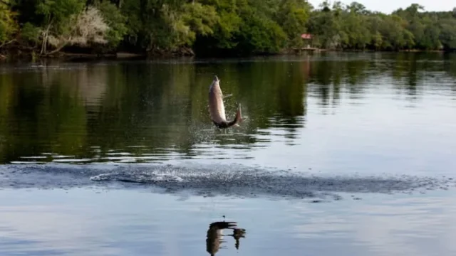 d979fe73bc65ba9ca05b84d6de69594c