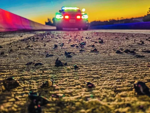 e9e316e391559d28e39bc67f3ab2f2d2